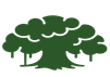 Rupali Bank Logo